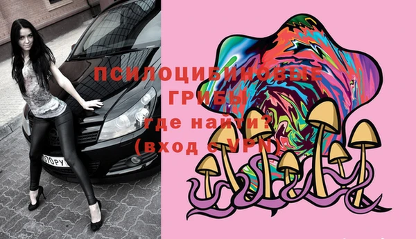 mix Новозыбков