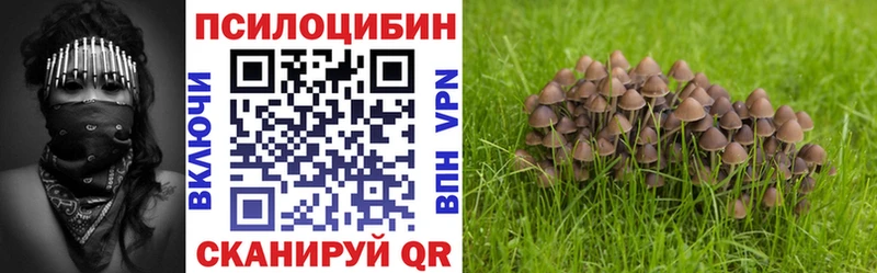 Галлюциногенные грибы MAGIC MUSHROOMS  Купить закладки  Кашин 